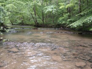 Creek inspiration for Harmony Hill Wellstead