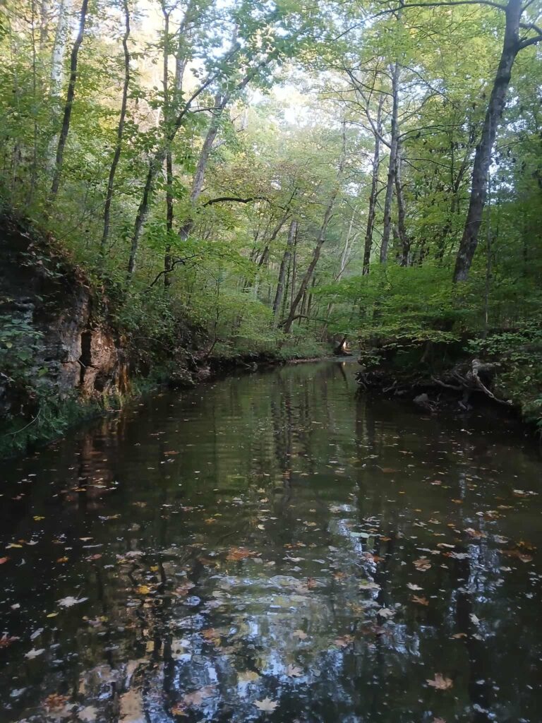 Creek playing on Harmony Hill's potential land on Brush Creek at Sacred Dog Ranch Glamping and Pet Resort